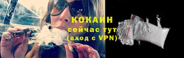 ешки Тавда