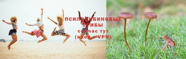 мескалин Сясьстрой
