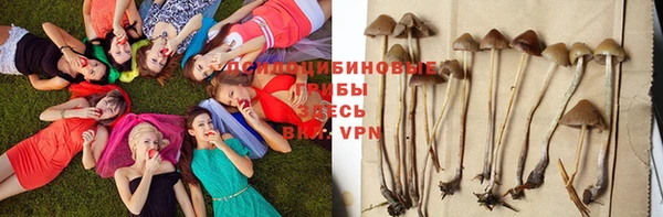 мескалин Сясьстрой