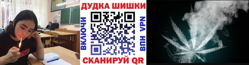 Бошки Шишки конопля  Купить закладки  Жиздра 
